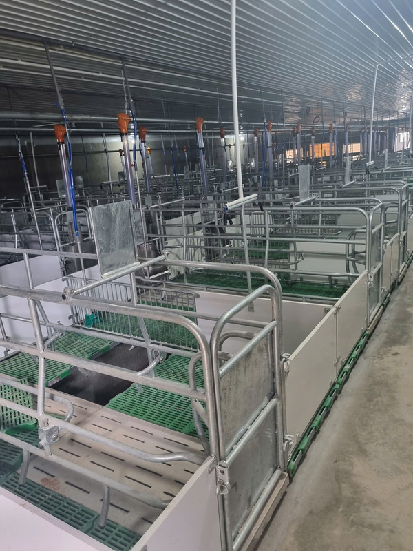 Thiết kế, xây dựng chuồng trại
